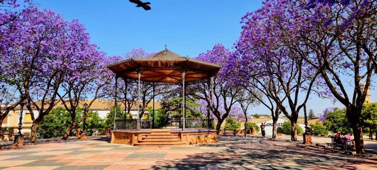 Alazan Jerez Ii-Parking Gratis-Wifi-Netflix Apartment Jerez de la Frontera Luaran gambar
